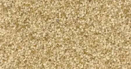 Khas Khas Health Benefits - Medpundit